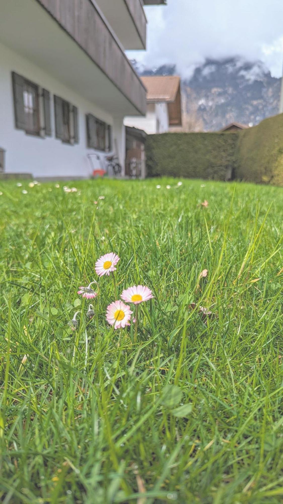 Apartamento Calm Gap Garmisch-Partenkirchen Exterior foto
